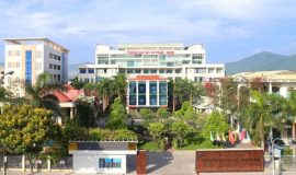 Quyết định của ĐH Đà Nẵng về việc cho phép Trường Đại học Sư phạm đào tạo trình độ đại học ngành Giáo dục Công dân